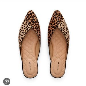 Birdies| The Swan in Mini Cheetah Pony